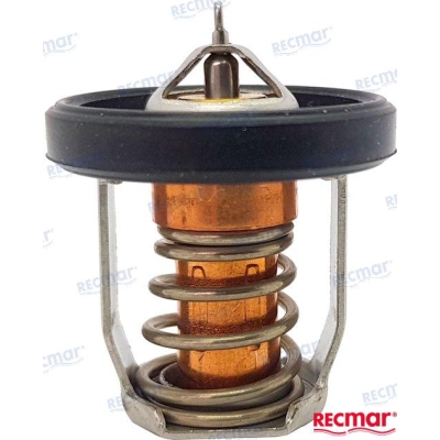 Termostatas OMC/Johnson/Evinrude, Suzuki varikliams