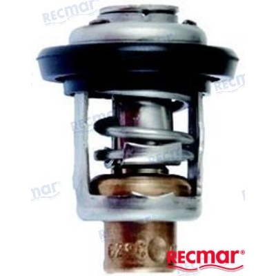 Termostatas Mercury, Yamaha, Honda 4-250Ag galingumo varikliams