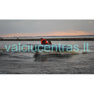 Valtis Dulkan Rib 300 AL