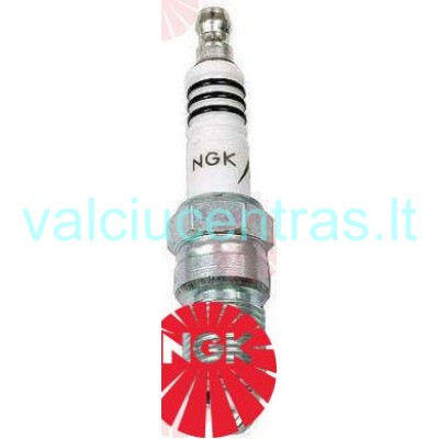 NGK žvakė TR6IX