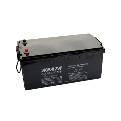 NEATA 38.4V/100Ah LITHIUM BT akumuliatorius