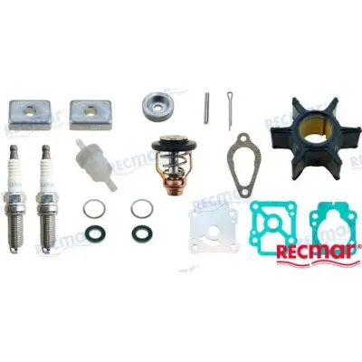 Aptarnavimo rinkinys Mercury 15-20AG EFI varikliams