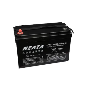NEATA 25.6V/50Ah LITHIUM BT akumuliatorius
