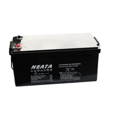 NEATA 25.6V/200Ah LITHIUM akumuliatorius