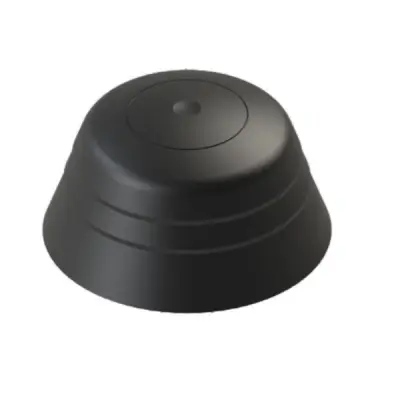 Borika galinė baliono dalis