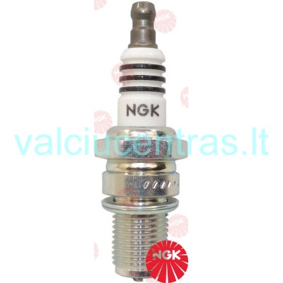 NGK žvakė BR6FIX