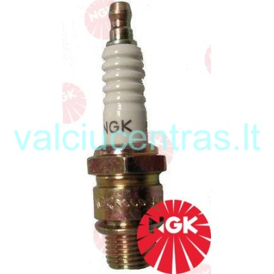 NGK žvakė BUHXW-1 