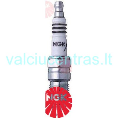 NGK žvakė TR5IX