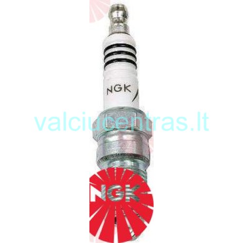 NGK žvakė TR6IX