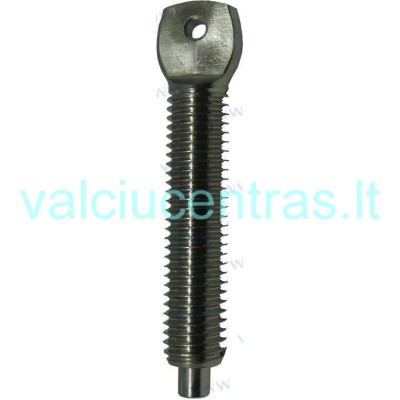 Variklio priveržimo varžtas