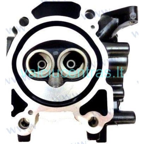 Parsun F2.6 cilindro galva