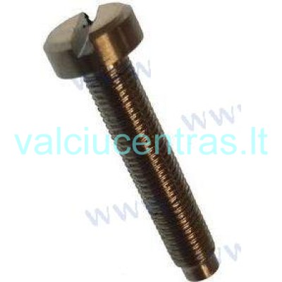 Karbiuratoriaus varžtas Parsun F4/F5