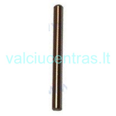 Karbiuratoriaus detalė - kaištis Parsun F4/F5