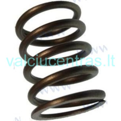 Vožtuvo spyruoklė Yamaha/Parsun F5/F6 varikliams