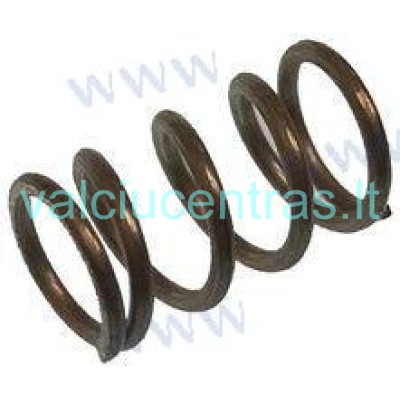 Karbiuratoriaus spyruoklė Parsun F6A