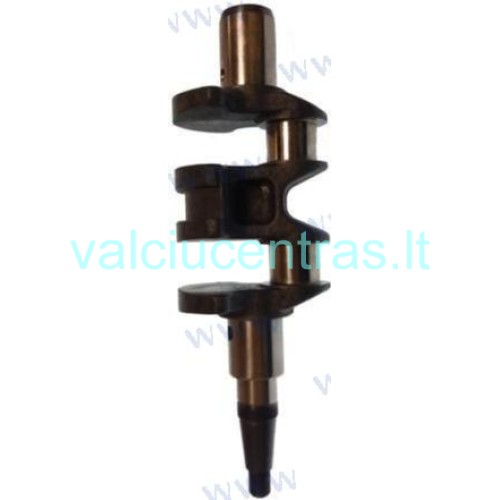 Alkūninis velenas Parsun F8/F9.8