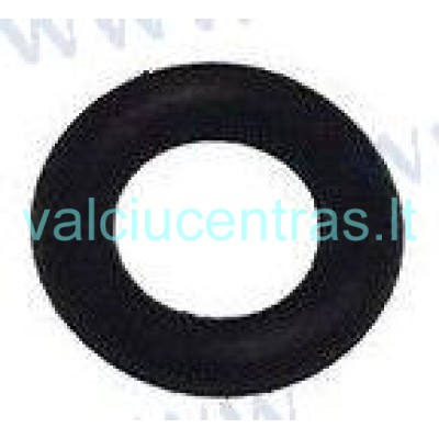 Karbiuratoriaus tarpinė Parsun F8/F9.8