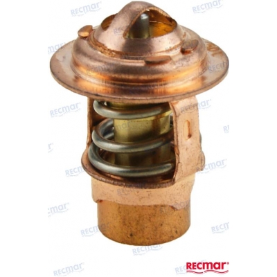 Termostatas Mercury 6-125Ag galingumo varikliams  	