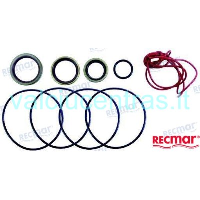 Riebokšlių komplektas Johnson/Evinrude 40-75Ag varikliams