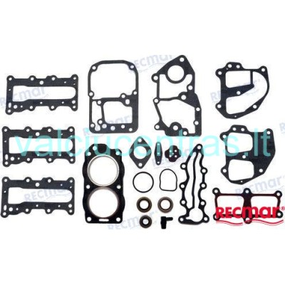 Tarpinių rinkinys Johnson/Evinrude 9.9/15 AG