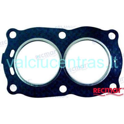 Galvos tarpinė OMC/Johnson/Evinrude 2.5/3/4/4.5 AG (1981-98) varikliui