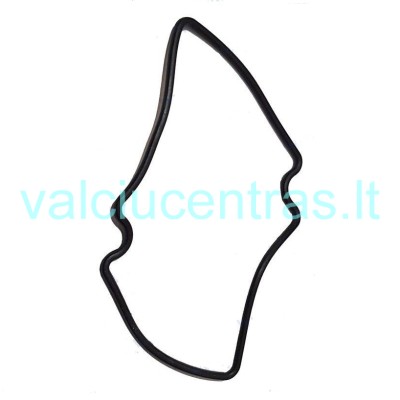 Karbiuratoriaus tarpinė