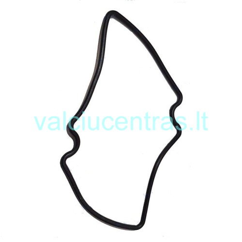 Karbiuratoriaus tarpinė