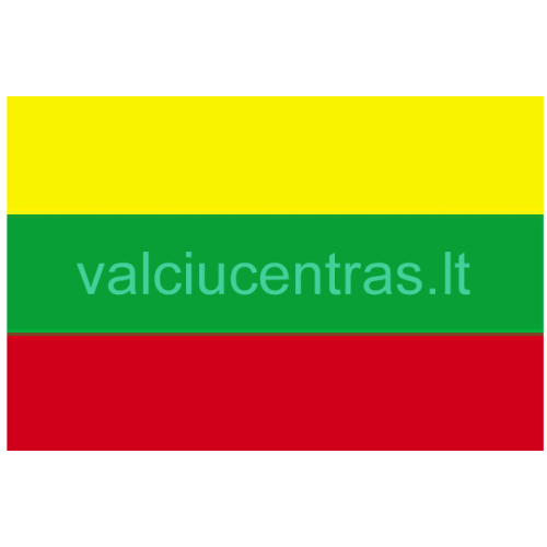 Polisterinė Lietuvos vėliava 