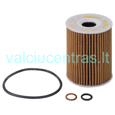 Mercury tepalo filtras dyzeliniams varikliams