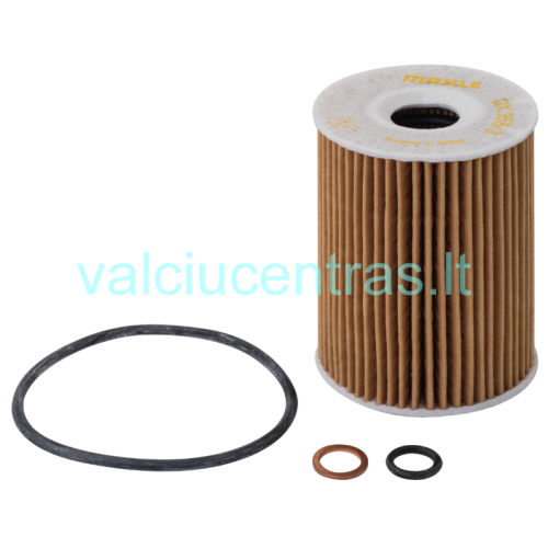 Mercury tepalo filtras dyzeliniams varikliams