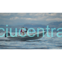 Bombard Sunrider 650 RIB valtis Bombard Sunrider 650 RIB valtis