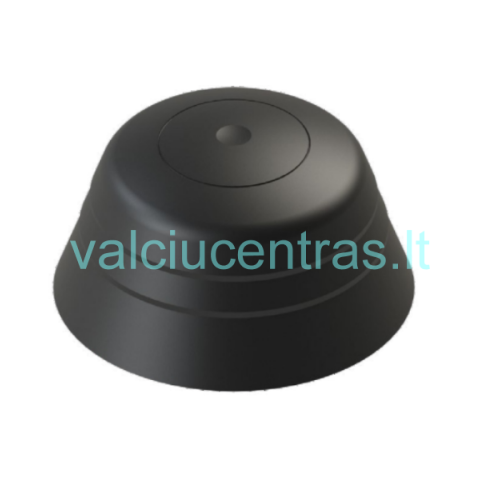 Borika galinė baliono dalis