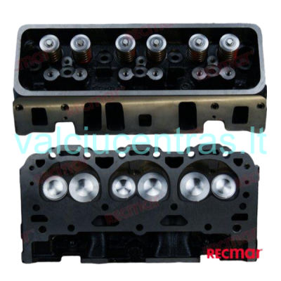 Mercruiser/Volvo Penta 4.3L cilindro blokas