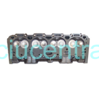 Mercruiser/Volvo Penta GM 5.0L cilindro blokas