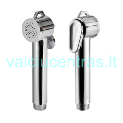 Chromuota dušo galvutė