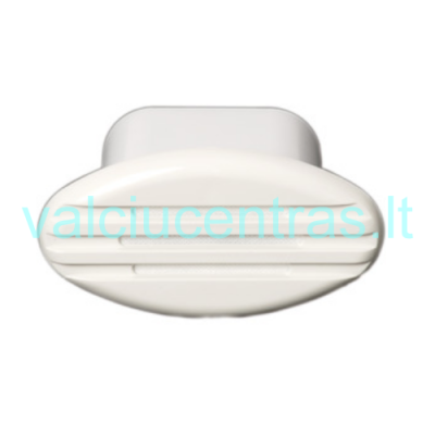 Įleidžiamas garsinis signalas