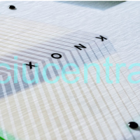 Jobe Knox Wakeboard vandenlentė su Nitro apkaustais