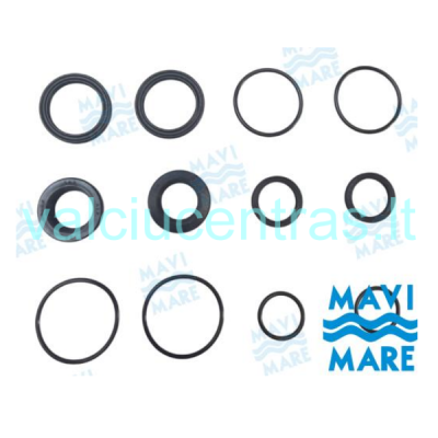 MaviMare riebokšlių komplektas hidrauliniam cilindrui