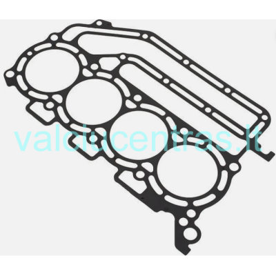 Originali Suzuki galvos tarpinė DF100-140