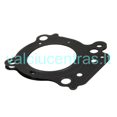 Originali galvos tarpinė Suzuki DF20/DF25/DF25R V2 (2006-11) varikliui  	