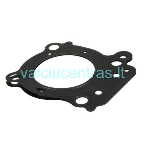 Originali galvos tarpinė Suzuki DF20/DF25/DF25R V2 (2006-11) varikliui  	