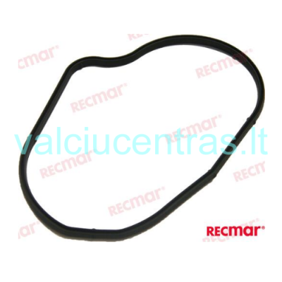 VST kuro modulio dangtelio tarpinė 