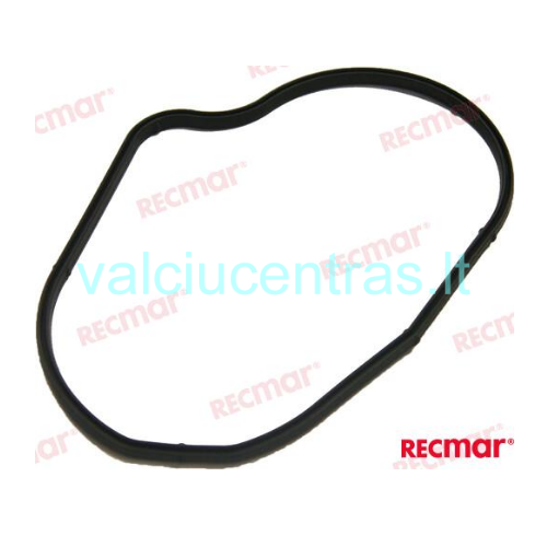 VST kuro modulio dangtelio tarpinė 