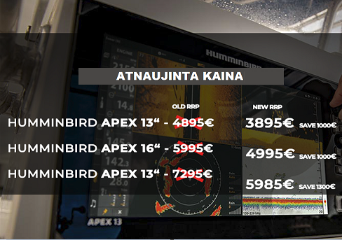 humminbird-apex