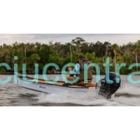 NAUJASIS Tohatsu MFS9.9CY EFI variklis  NAUJASIS Tohatsu MFS9.9CY EFI variklis