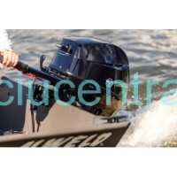 NAUJASIS Tohatsu MFS9.9CY EFI variklis  NAUJASIS Tohatsu MFS9.9CY EFI variklis